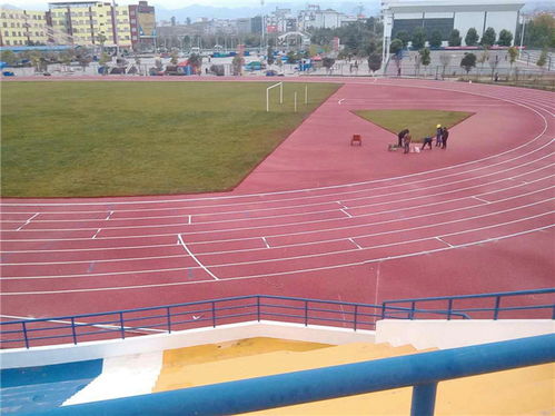 混合型自結(jié)紋跑道供應商 廣州躍康 滁州混合型自結(jié)紋跑道