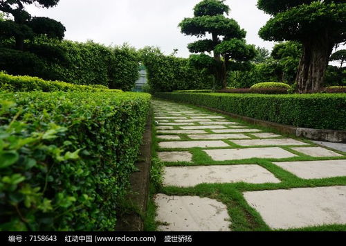 公園道路綠化高清圖片下載 紅動網