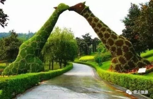 美爆了 密云 玫瑰情園景區(qū)紫色花海門票免費(fèi)送 送 送