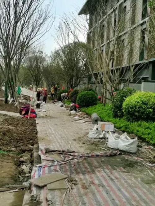 施工現(xiàn)場實(shí)拍 園林綠化工程 園林景觀工程 綠化工程 施工現(xiàn)場 園林景觀 工程人 園林綠化 市政工程