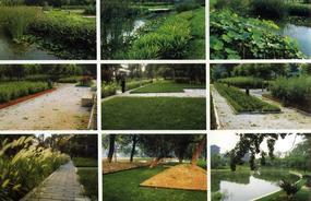 各種綠化、景觀鋪裝工程的設計與施工,園林綠化工程的養護;園林綠化苗木、草皮、花卉的種植,銷售(廣西南寧)_CO土木在線