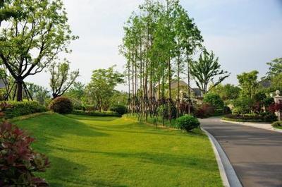 園林綠化中土方造型施工技術探討--全民網(wǎng)建