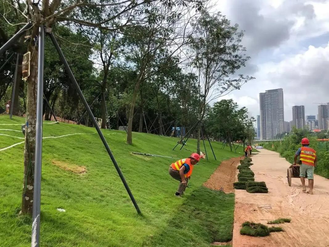 邊坡綠化工程.邊坡綠化工程專業綠化施工,助力打造綠色家園.精